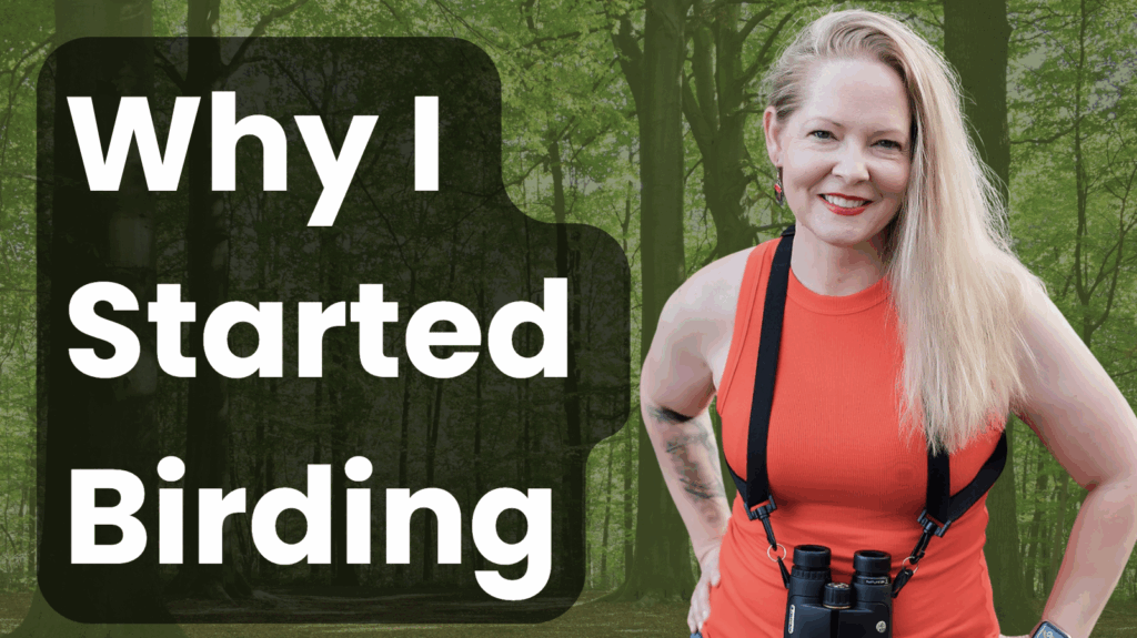 Why I Bird